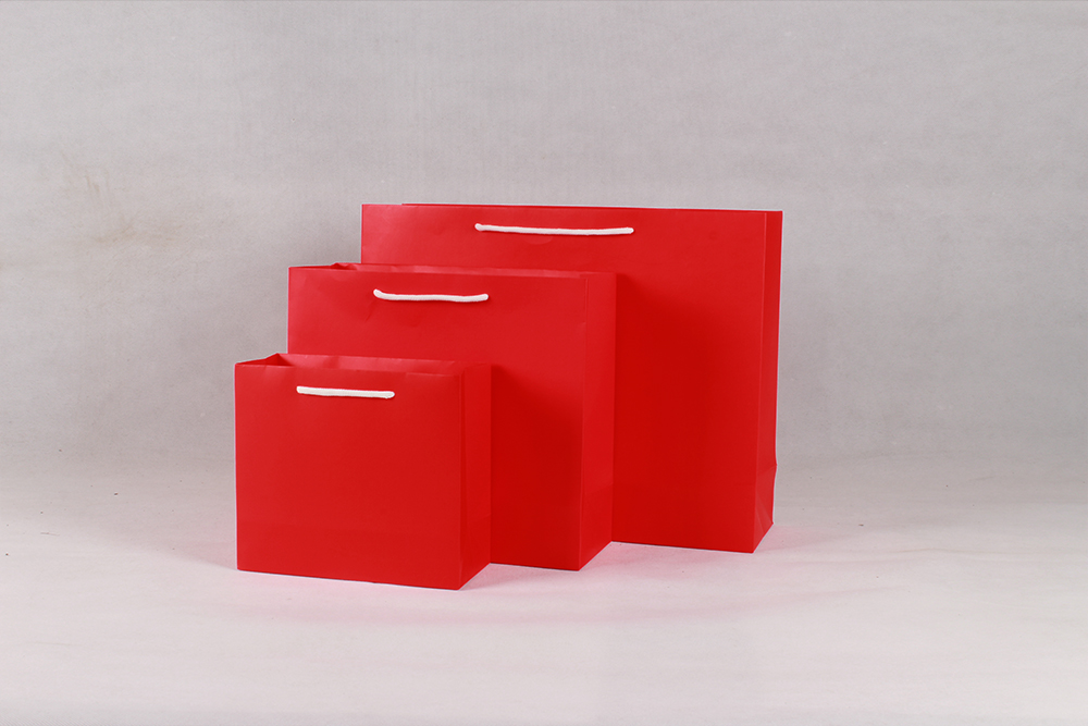 時尚橫版白卡紅色禮品紙袋