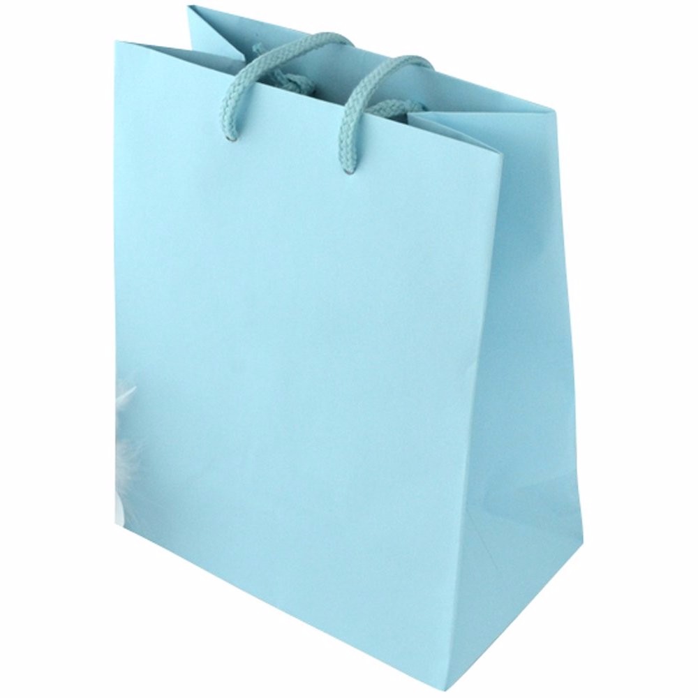 為什么手提紙袋會讓越多人的青睞呢？