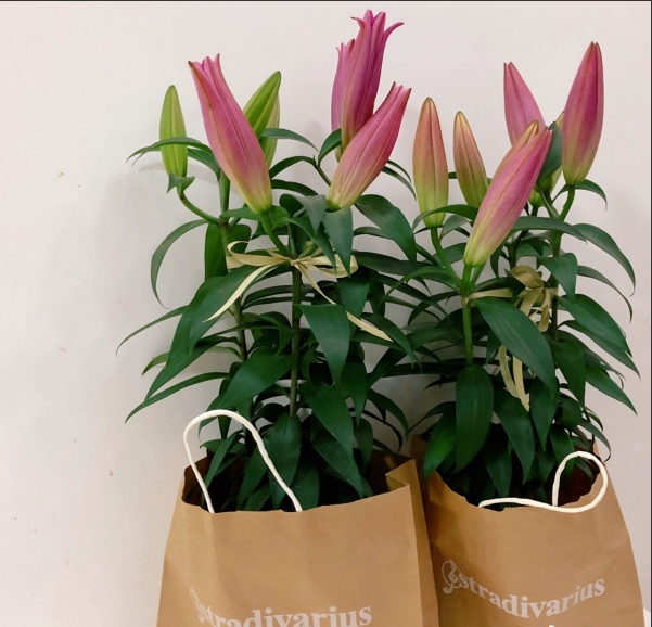 聽說這個七夕，鮮花和牛皮紙袋更配哦！