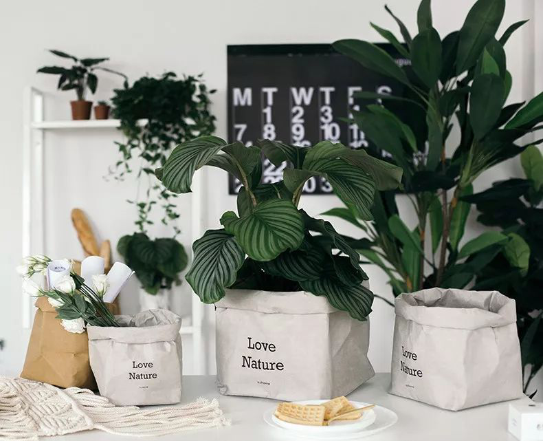 巧用牛皮紙袋收納，還你一個(gè)舒適的家！