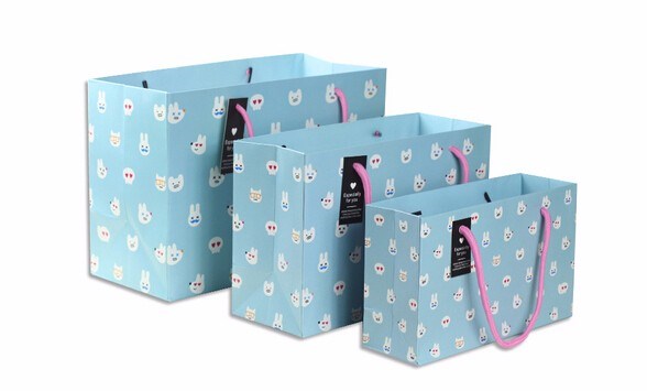 禮品紙袋定制須知：除了手提紙袋還有別的！